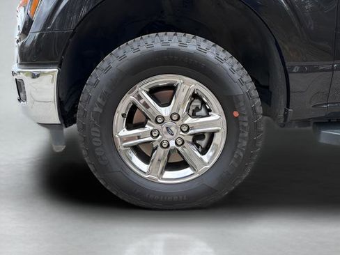 Used 2025 Ford F150 XLT w/ Equipment Group 301A Standard AWD/4WD image 18