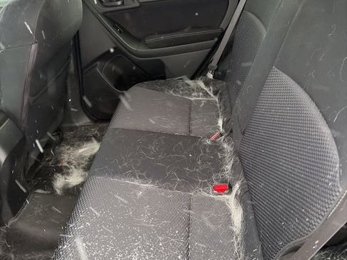 Used 2015 Subaru Forester 2.5i Premium image 11