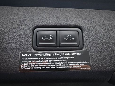 Used 2024 Kia Carnival SX Prestige FWD image 40