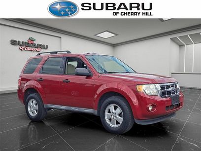 Used 2010 Ford Escape XLT