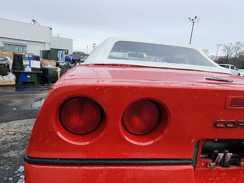Used 1990 Chevrolet Corvette Convertible image 9