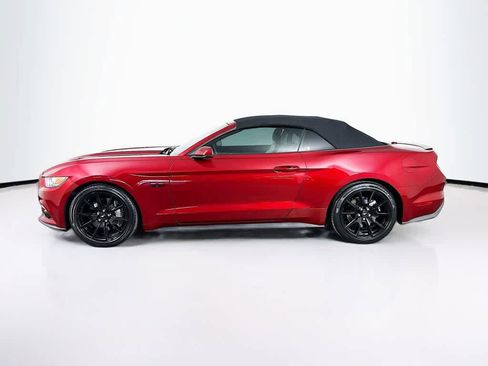 Used 2017 Ford Mustang GT Premium w/ Equipment Group 401A image 3