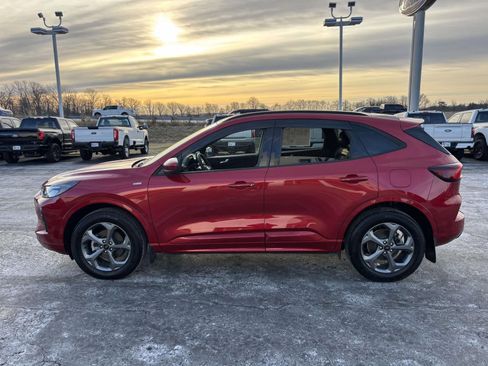 Used 2024 Ford Escape ST-Line Select image 5