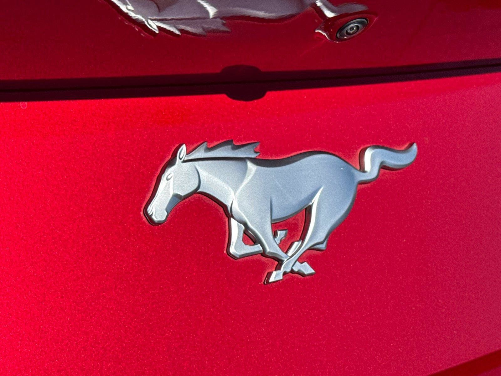 Certified 2024 Ford Mustang Coupe RWD image 10