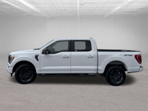 Used 2023 Ford F150 XLT w/ Equipment Group 302A High AWD/4WD image 50