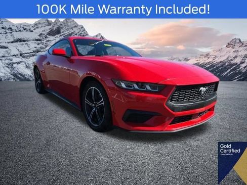 Used 2024 Ford Mustang Premium RWD image 1