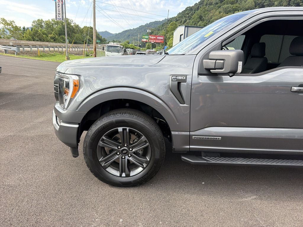 Used 2023 Ford F150 XLT w/ Equipment Group 302A High AWD/4WD image 9