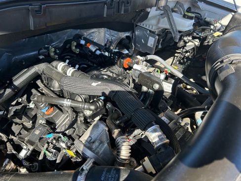 Used 2025 Ford F150 XLT w/ Equipment Group 301A Standard AWD/4WD image 30