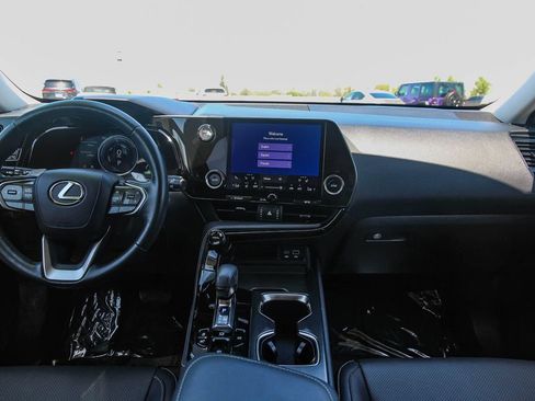 Certified 2025 Lexus NX 350h AWD w/ Cold Area Package image 13