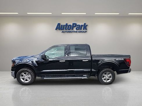 Used 2025 Ford F150 XLT w/ Equipment Group 301A Standard AWD/4WD image 4