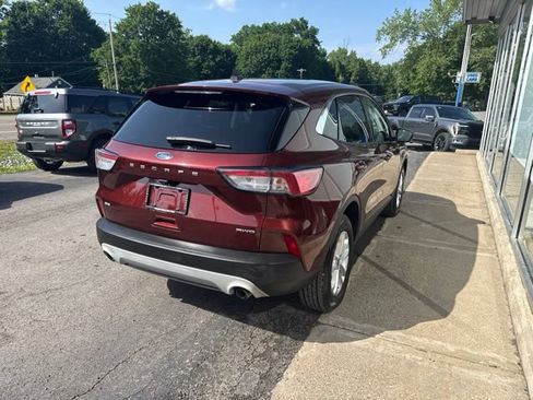 Used 2021 Ford Escape SE AWD/4WD image 5