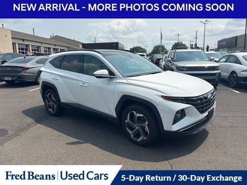 Used 2024 Hyundai Tucson Limited AWD/4WD image 4