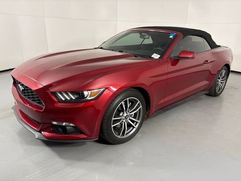 Used 2017 Ford Mustang Premium w/ Equipment Group 201A image 5