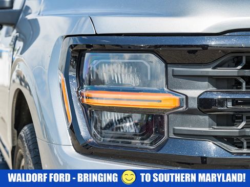 Used 2024 Ford F150 XLT w/ Equipment Group 303A High AWD/4WD image 10