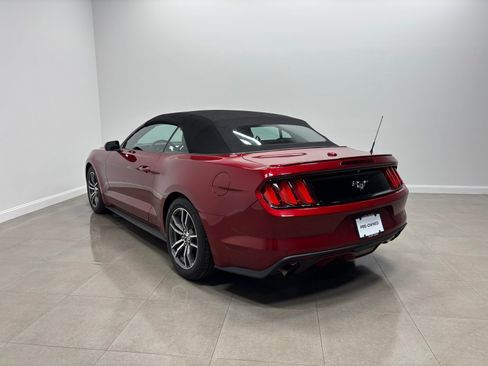 Used 2016 Ford Mustang Premium w/ Equipment Group 201A RWD image 9