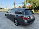 Used 2013 Honda Odyssey EX-L image 6