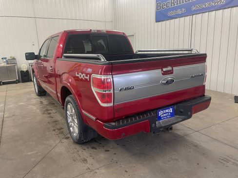 Used 2011 Ford F150 Platinum AWD/4WD image 3
