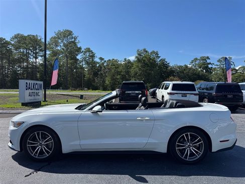 Used 2017 Ford Mustang Premium RWD image 9