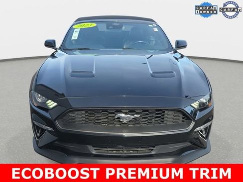 Used 2023 Ford Mustang Premium image 2
