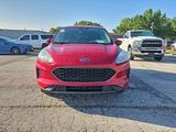 Used 2020 Ford Escape SE image 2