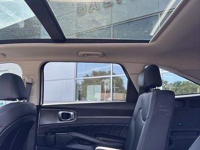 Used 2023 Kia Sorento SX