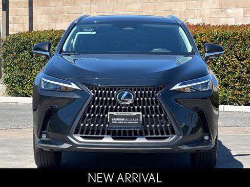 Certified 2025 Lexus NX 350h AWD w/ Cold Area Package image 10