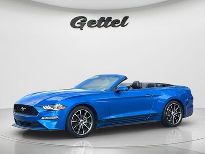 Used 2019 Ford Mustang Premium w/ Equipment Group 201A