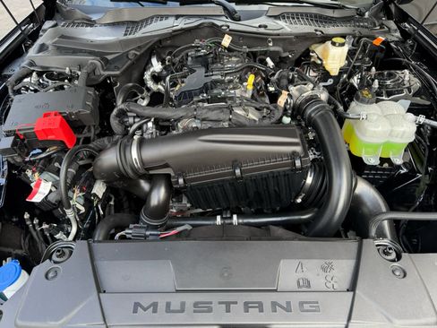 New 2026 Ford Mustang EcoBoost w/ Mustang Nite Pony Package image 25