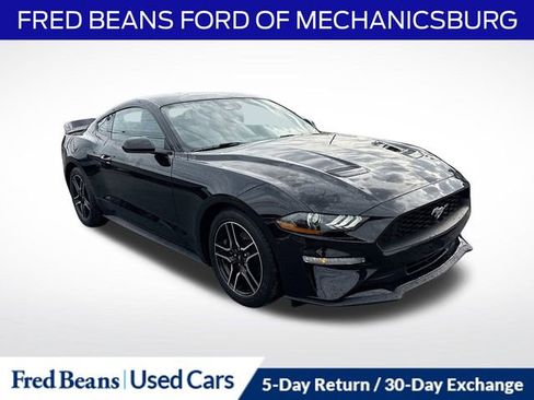 Used 2023 Ford Mustang Coupe w/ Equipment Group 101A image 1