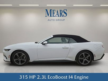 Used 2024 Ford Mustang Premium