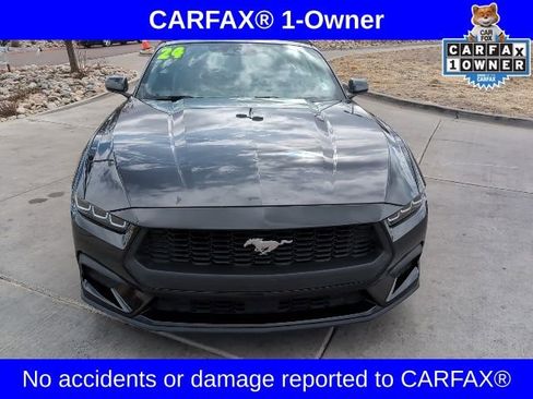 Used 2024 Ford Mustang Premium image 2