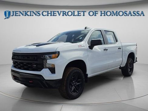 Used 2024 Chevrolet Silverado 1500 Custom Trail Boss AWD/4WD image 11