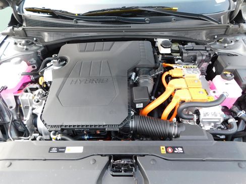 New 2025 Hyundai Elantra Blue image 13