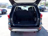 Used 2019 Ford Escape Titanium image 5