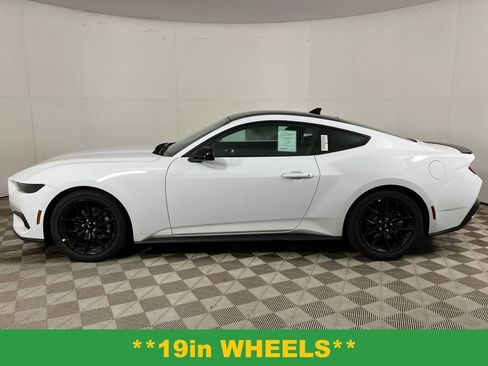 New 2025 Ford Mustang Premium w/ Mustang Nite Pony Package image 11