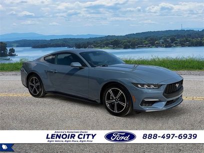 Used 2025 Ford Mustang Coupe