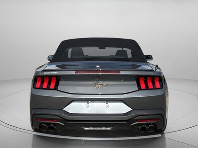 New 2025 Ford Mustang Premium