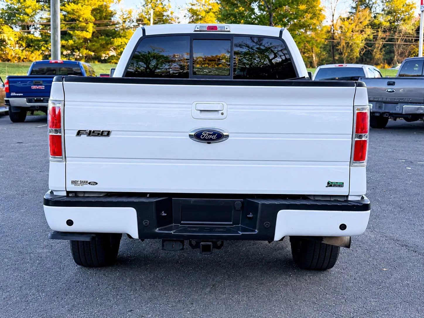 Used 2010 Ford F150 FX4 AWD/4WD image 4