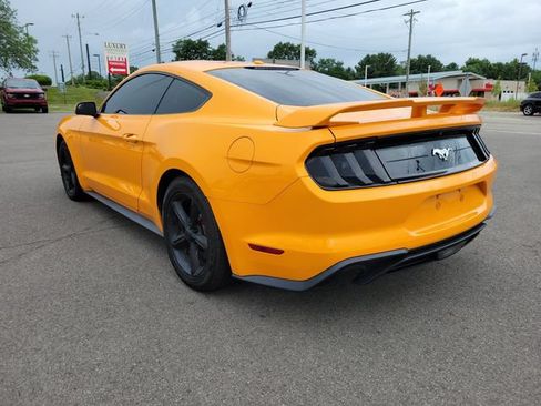 Used 2019 Ford Mustang Coupe w/ Ecoboost Performance Package RWD image 3