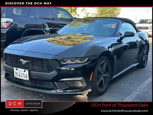 Used 2024 Ford Mustang Premium RWD image 1