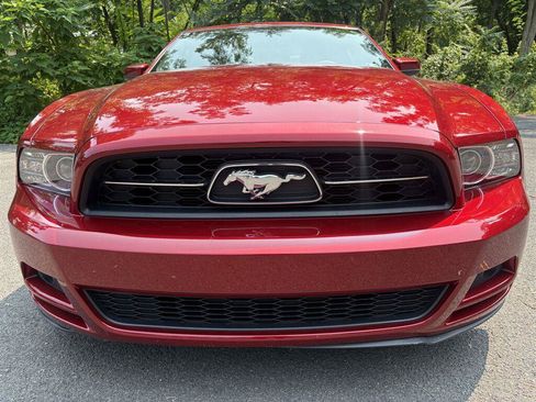 Used 2014 Ford Mustang Premium w/ Equipment Group 202A RWD image 8