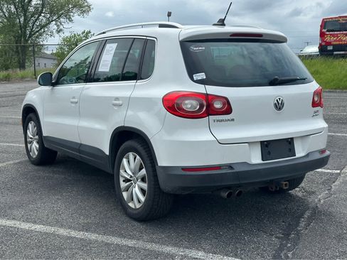 Used 2011 Volkswagen Tiguan SE AWD/4WD image 6