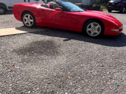 Used 1999 Chevrolet Corvette Convertible image 6