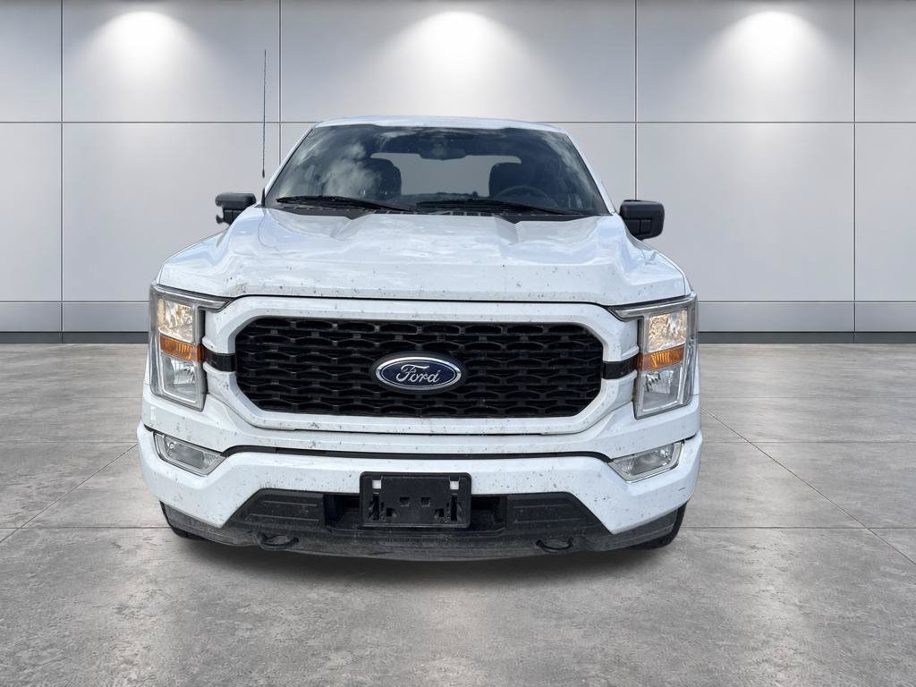 Used 2021 Ford F150 XL w/ STX Appearance Package AWD/4WD image 2