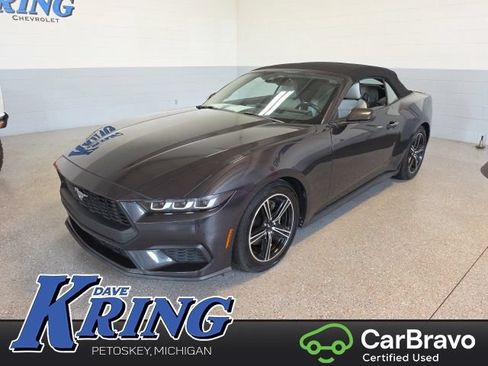 Used 2024 Ford Mustang Premium RWD image 1