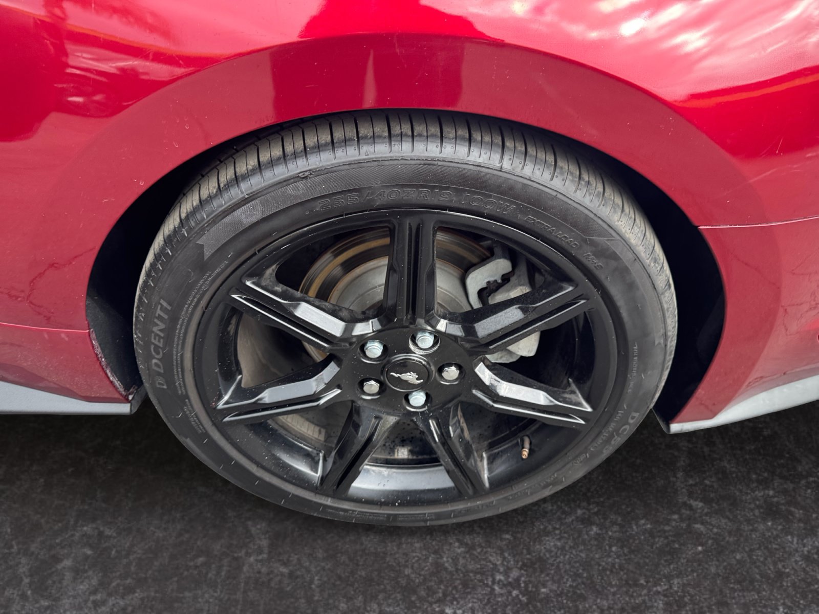 Used 2019 Ford Mustang Coupe w/ Equipment Group 101A RWD image 14