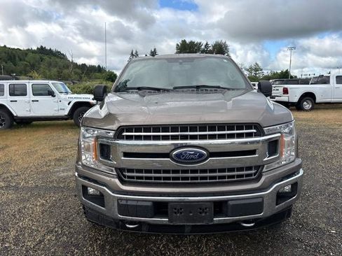 Used 2019 Ford F150 XLT w/ Equipment Group 302A Luxury AWD/4WD image 12