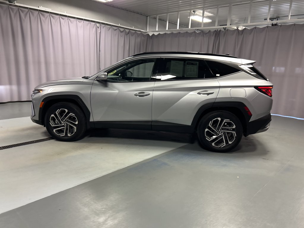 Used 2025 Hyundai Tucson Limited AWD/4WD image 4