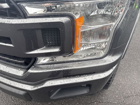 Used 2019 Ford F150 XLT w/ Equipment Group 302A Luxury image 9