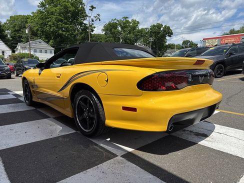 Used 2002 Pontiac Firebird Trans Am RWD image 10